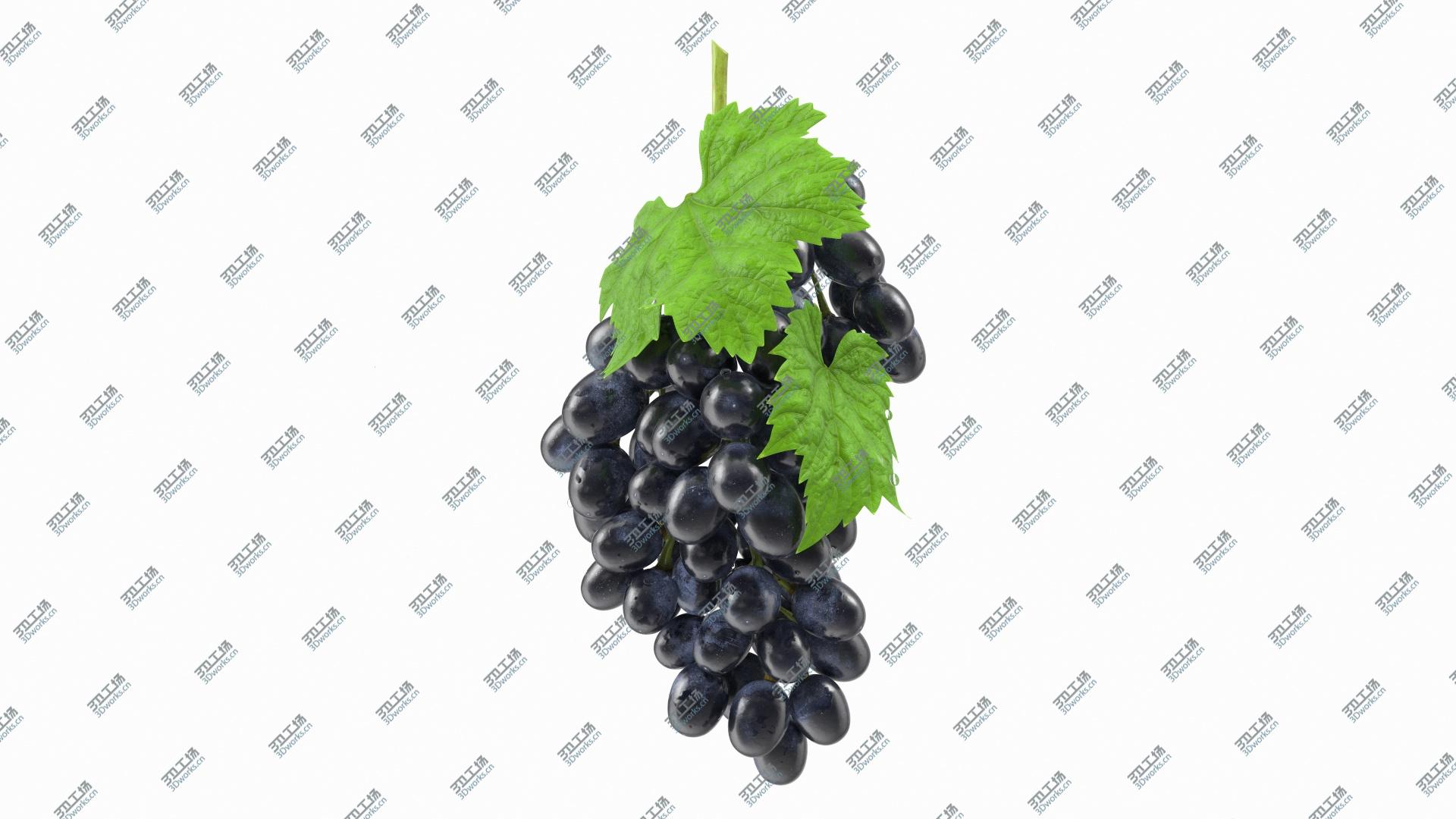 images/goods_img/2021040163/3D Bunch of Black Grapes/2.jpg